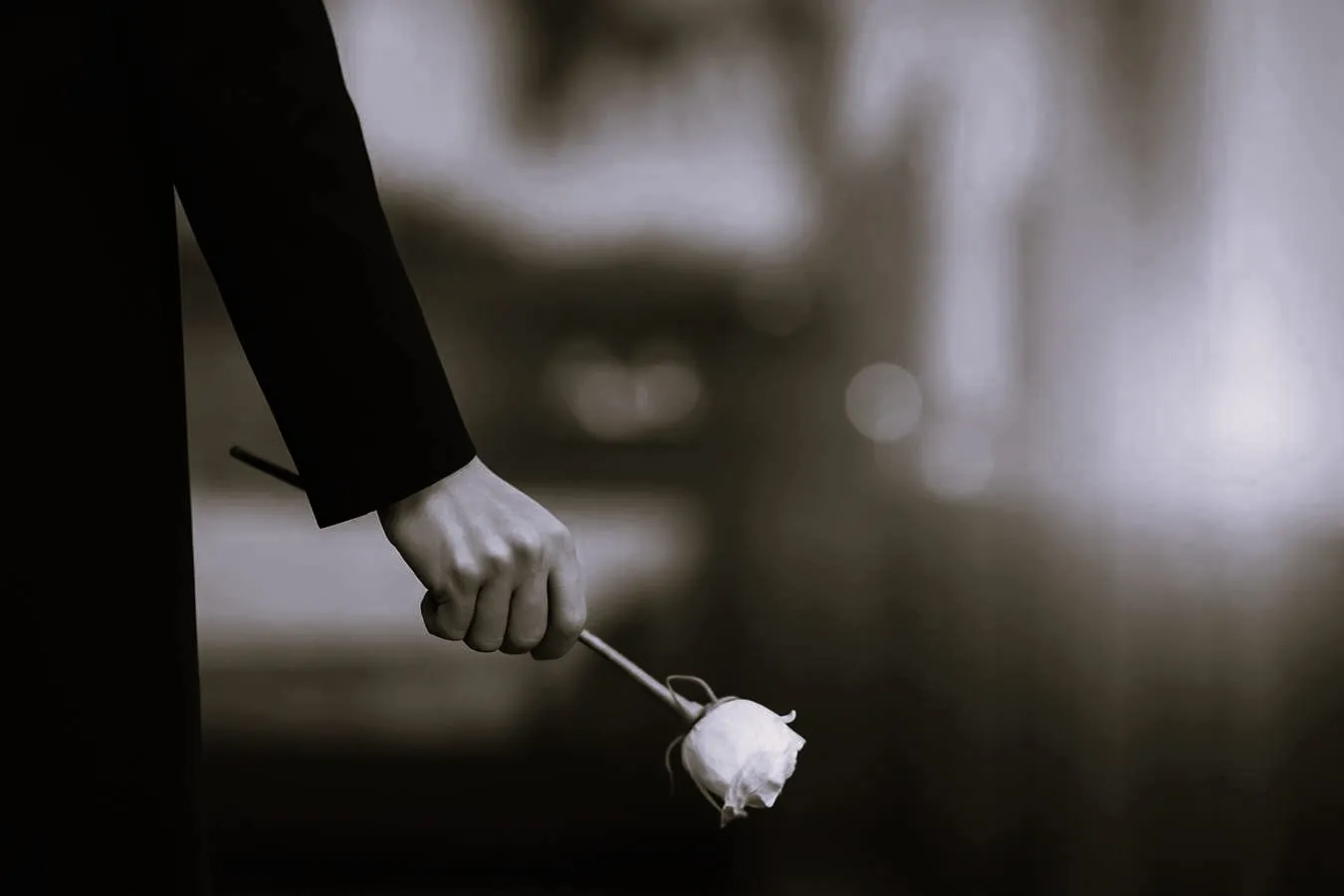 Inredning & övriga tjänster